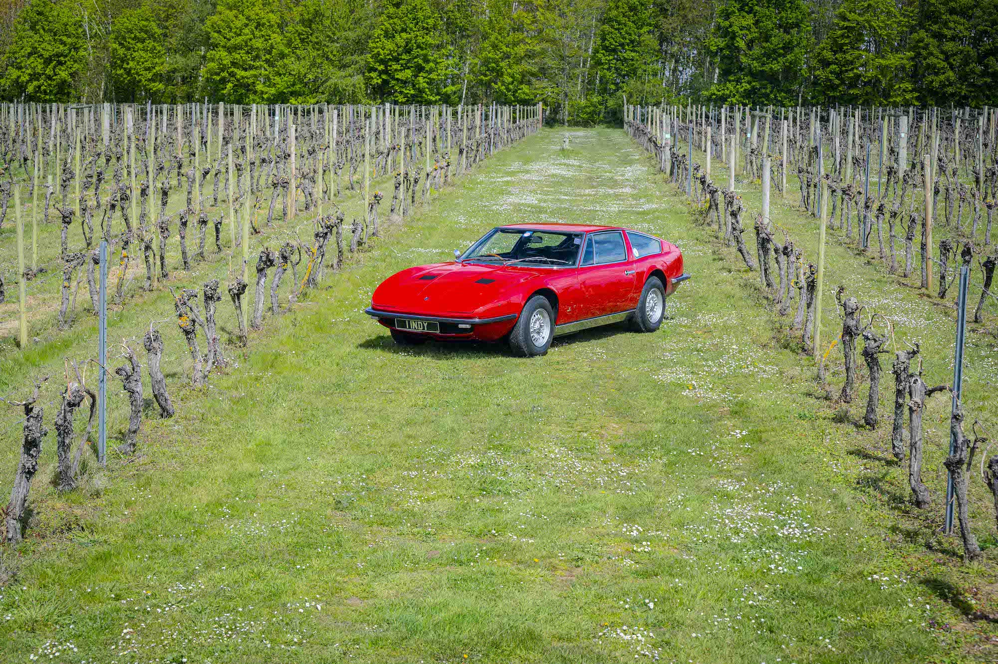 Maserati Indy vineyard